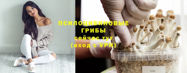 эйфоретик Абдулино