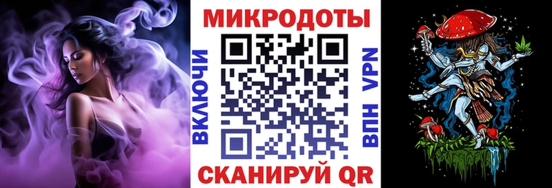 закладки  Эртиль  Галлюциногенные грибы Psilocybe 